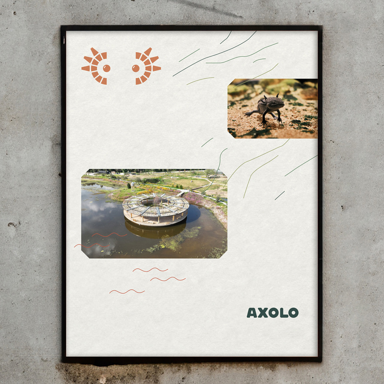 Axolo visual identity by Estudio Columna