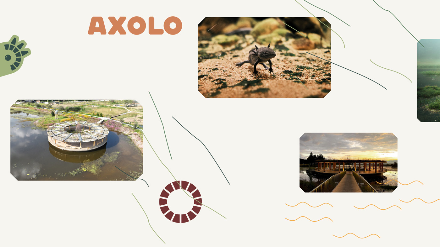 Axolo-Brandbook-52W1