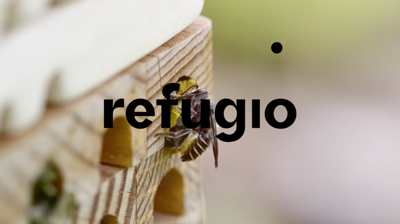 Refugio-Anim-A2