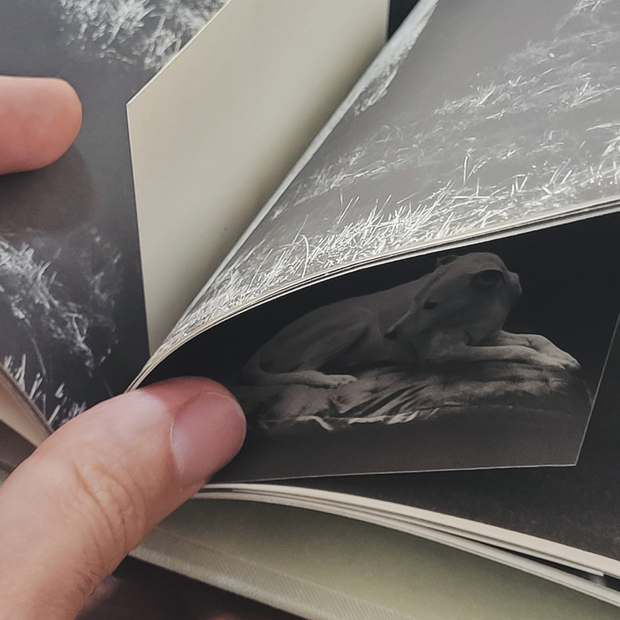 Axolo visual identity by Estudio Columna