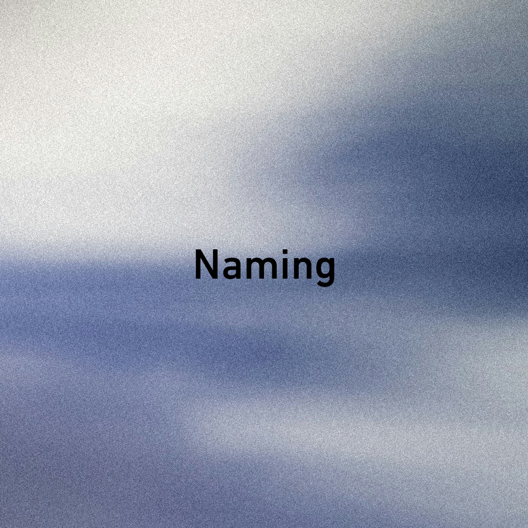 Axolo visual identity by Estudio Columna